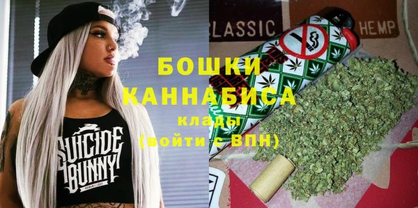 стаф Дмитров