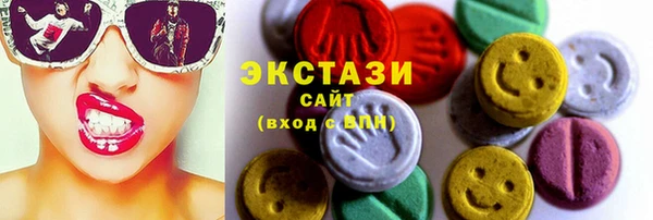 стаф Дмитров