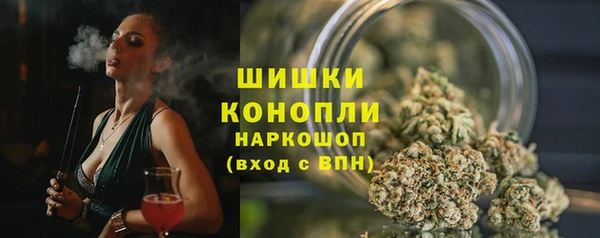 мет Дмитриев