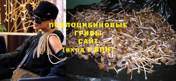 стаф Дмитров