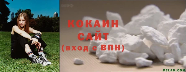 мет Дмитриев