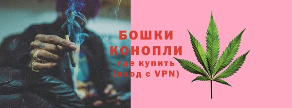 стаф Дмитров