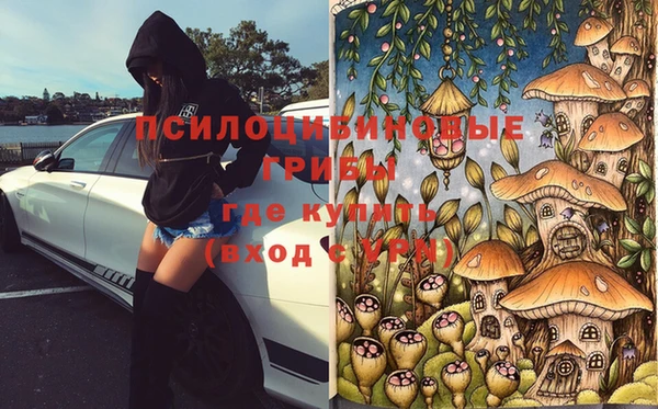 мет Дмитриев
