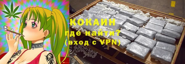 мет Дмитриев