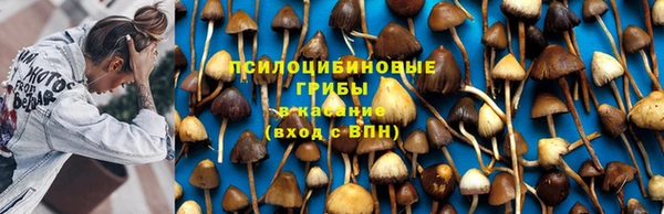 не бодяженный Дмитровск