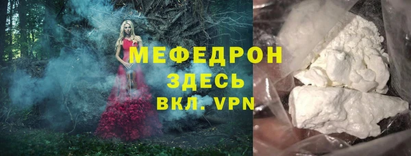 стаф Дмитров