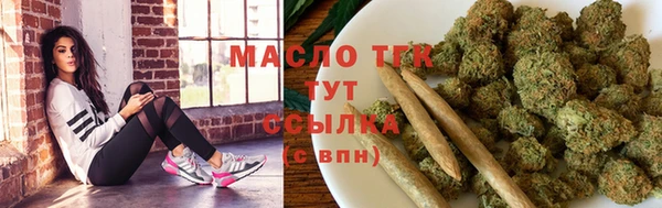 мет Дмитриев