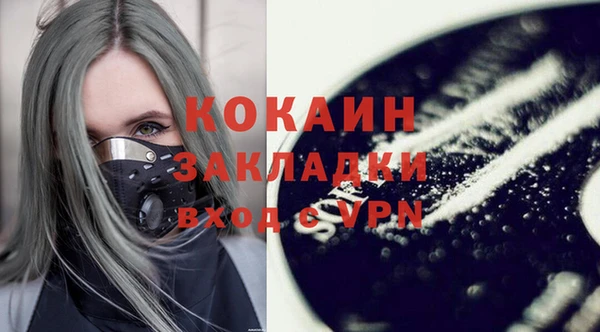 мет Дмитриев