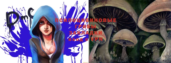 не бодяженный Дмитровск