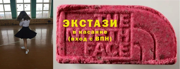 стаф Дмитров