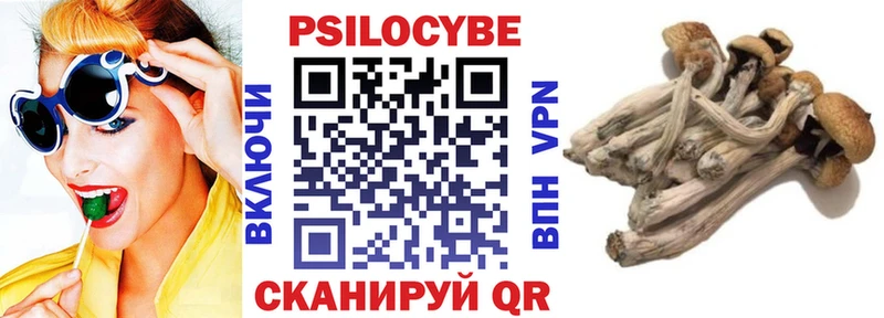 Галлюциногенные грибы ЛСД Новый Уренгой