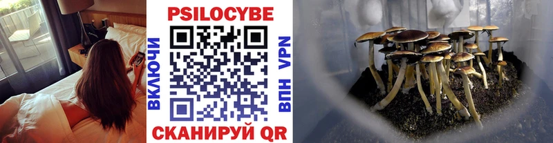 blacksprut как зайти  Новый Уренгой  Псилоцибиновые грибы Magic Shrooms 